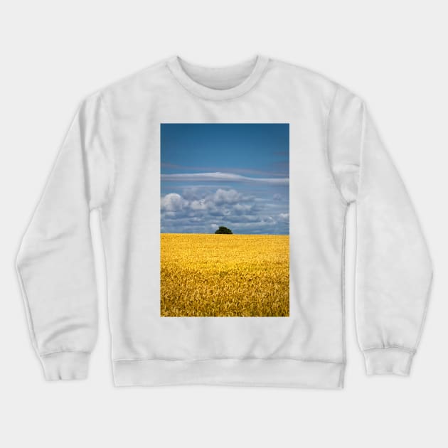 Golden harvest and blue sky Crewneck Sweatshirt by Violaman